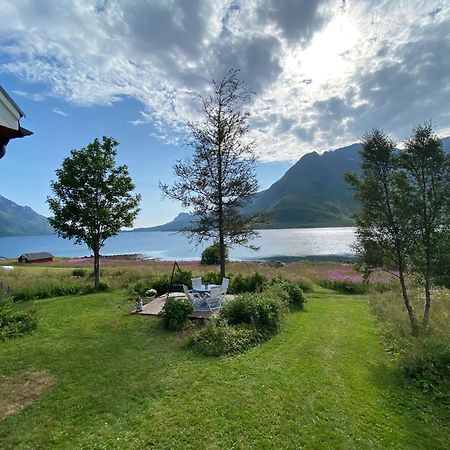 Unique And Charming House At The Foot Of Lofoten'S Highest Mountain Svolvær Eksteriør bilde